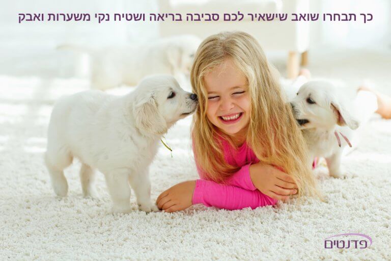 שואב אבק לניקיון שטיחים